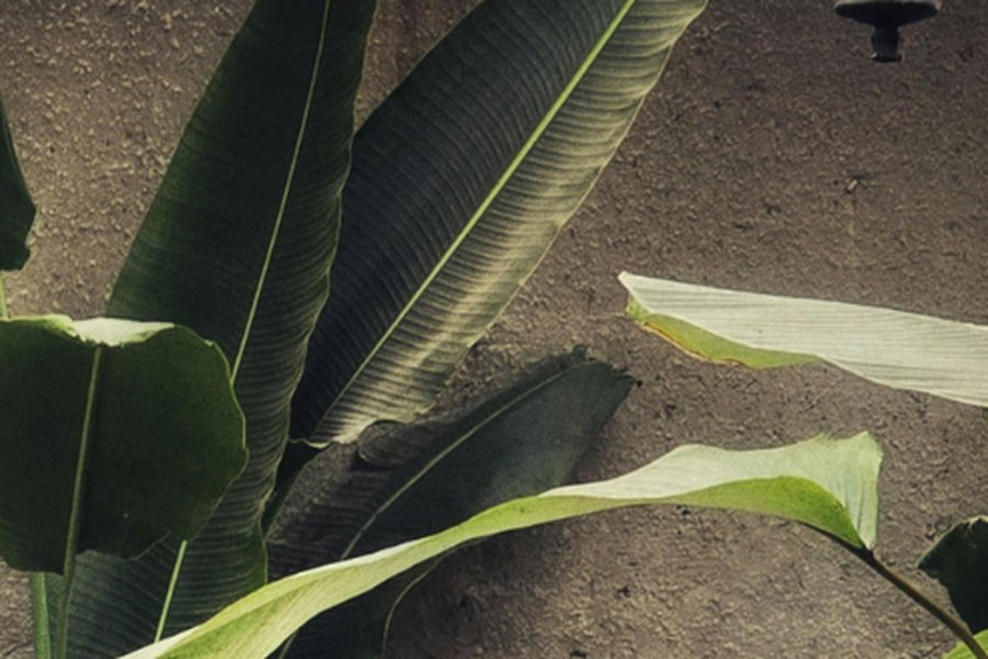 Building a Brand That Outlasts Every Trend